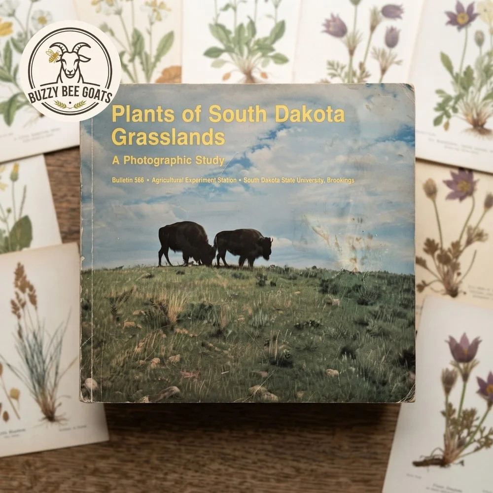 Plans of South Dakota Grasslands Photo Book Michael P. Berman 2015 Softcover